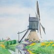 Eipmolen 50 x 70 xm.